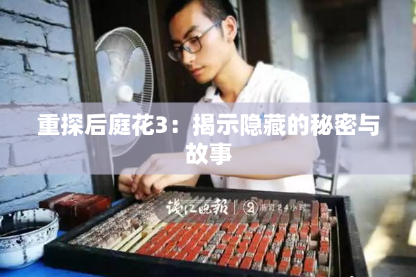 重探后庭花3：揭示隐藏的秘密与故事