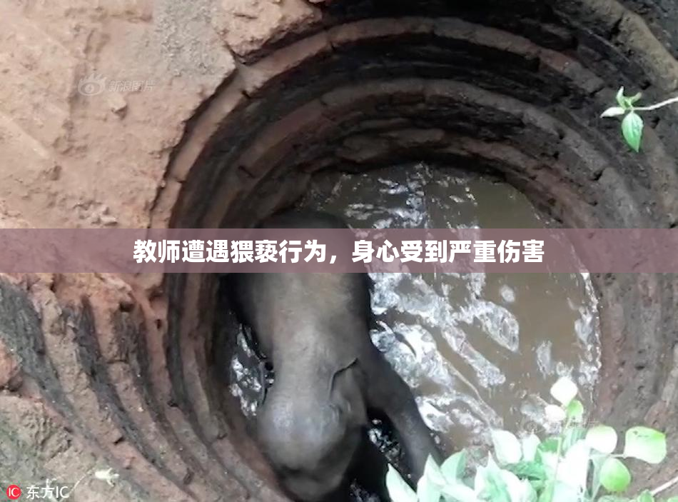 教师遭遇猥亵行为，身心受到严重伤害