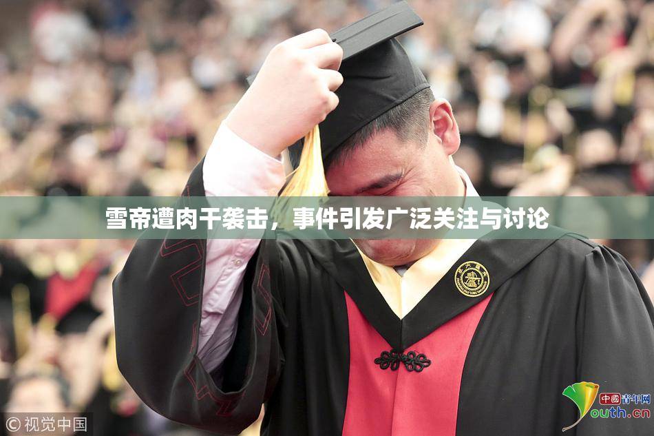 雪帝遭肉干袭击，事件引发广泛关注与讨论
