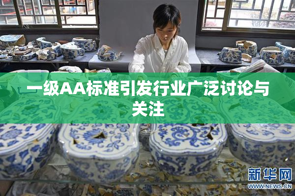 一级AA标准引发行业广泛讨论与关注
