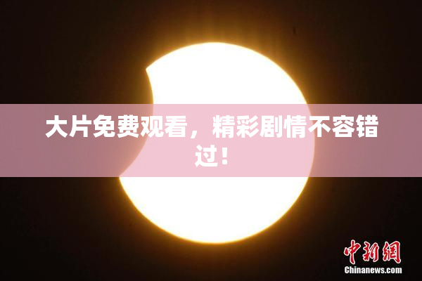 大片免费观看，精彩剧情不容错过！