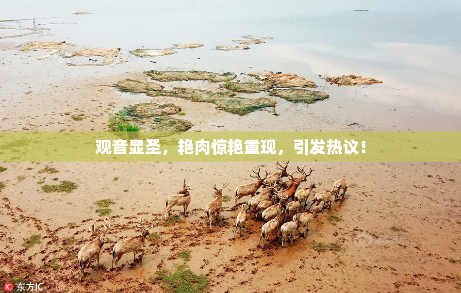 观音显圣，艳肉惊艳重现，引发热议！
