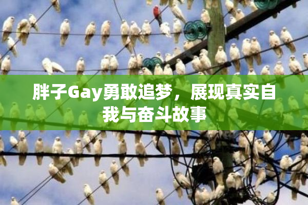 胖子Gay勇敢追梦，展现真实自我与奋斗故事