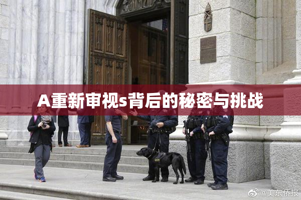 A重新审视s背后的秘密与挑战