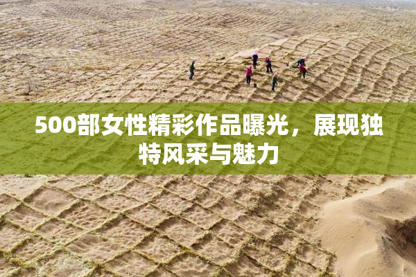 500部女性精彩作品曝光，展现独特风采与魅力