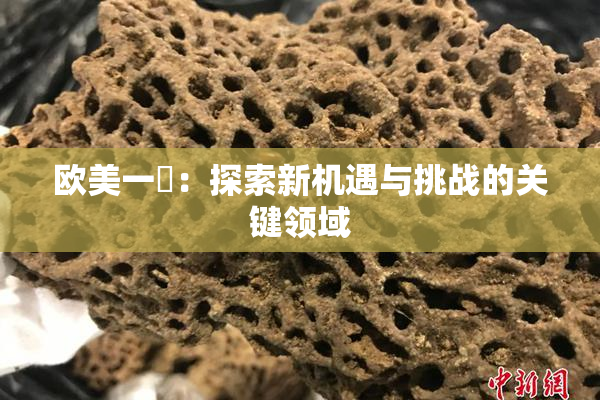欧美一級：探索新机遇与挑战的关键领域