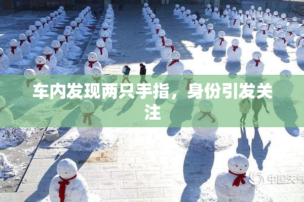 车内发现两只手指，身份引发关注