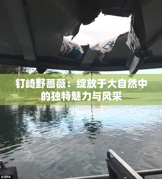 钉崎野蔷薇：绽放于大自然中的独特魅力与风采