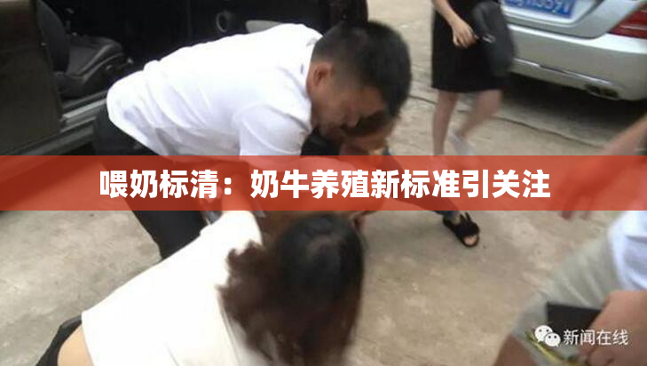 喂奶标清：奶牛养殖新标准引关注