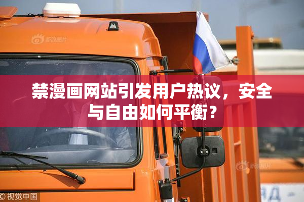 禁漫画网站引发用户热议，安全与自由如何平衡？