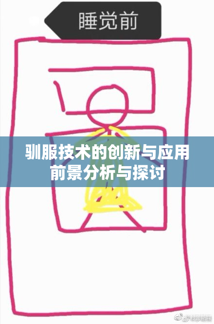 驯服技术的创新与应用前景分析与探讨
