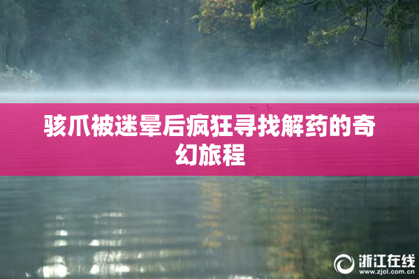骇爪被迷晕后疯狂寻找解药的奇幻旅程