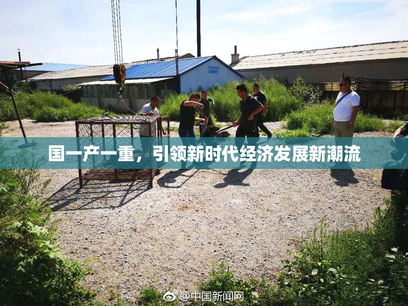 国一产一重，引领新时代经济发展新潮流