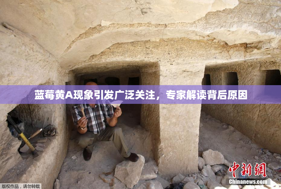 蓝莓黄A现象引发广泛关注，专家解读背后原因