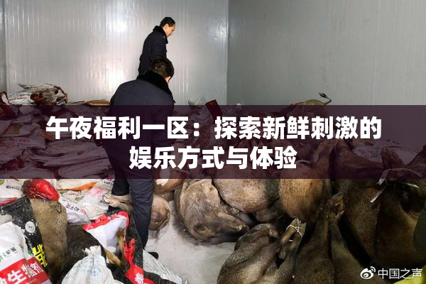 午夜福利一区：探索新鲜刺激的娱乐方式与体验