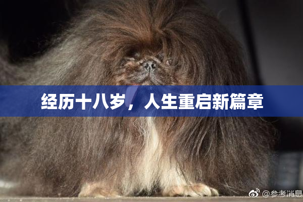 经历十八岁，人生重启新篇章
