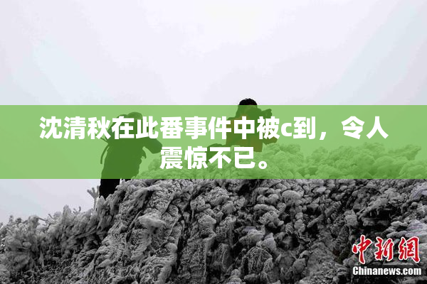 沈清秋在此番事件中被c到，令人震惊不已。