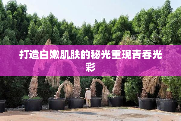打造白嫩肌肤的秘光重现青春光彩