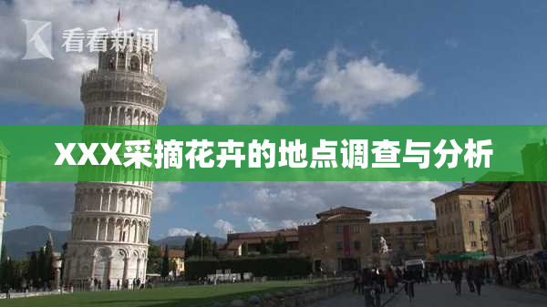 XXX采摘花卉的地点调查与分析