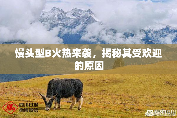 馒头型B火热来袭，揭秘其受欢迎的原因