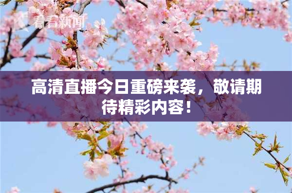 高清直播今日重磅来袭，敬请期待精彩内容！