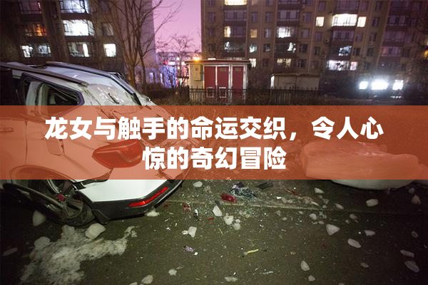 龙女与触手的命运交织，令人心惊的奇幻冒险