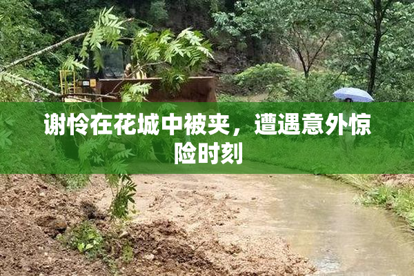 谢怜在花城中被夹，遭遇意外惊险时刻