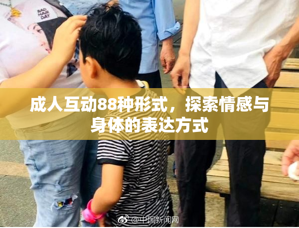 成人互动88种形式，探索情感与身体的表达方式