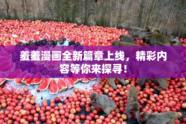 羞羞漫画全新篇章上线，精彩内容等你来探寻！