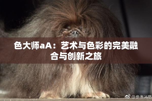 色大师aA：艺术与色彩的完美融合与创新之旅