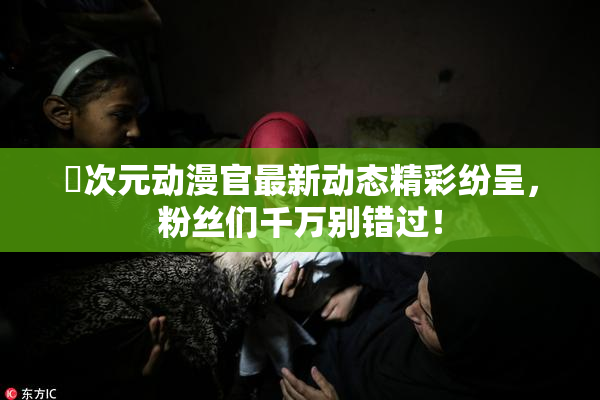 囧次元动漫官最新动态精彩纷呈，粉丝们千万别错过！