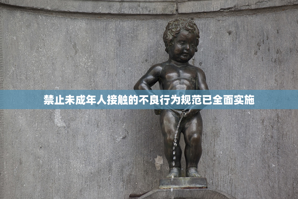 禁止未成年人接触的不良行为规范已全面实施