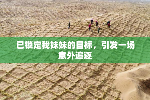 已锁定我妹妹的目标，引发一场意外追逐