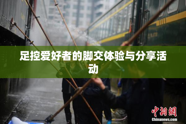 足控爱好者的脚交体验与分享活动