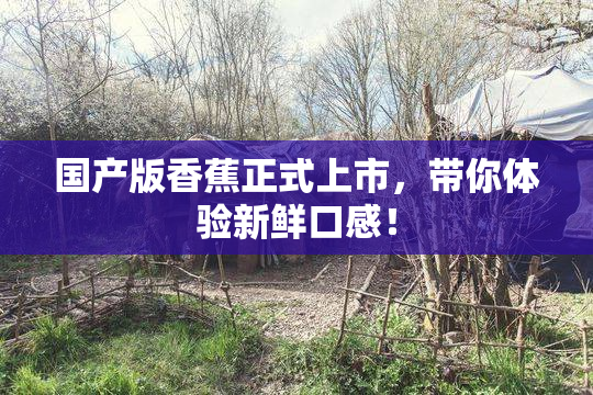 国产版香蕉正式上市，带你体验新鲜口感！