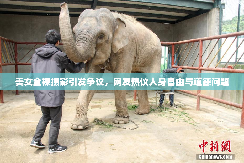 美女全裸摄影引发争议，网友热议人身自由与道德问题