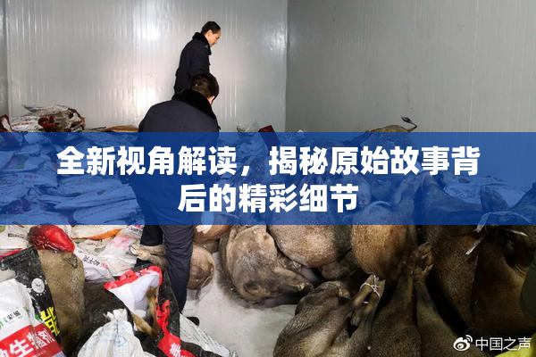 全新视角解读，揭秘原始故事背后的精彩细节