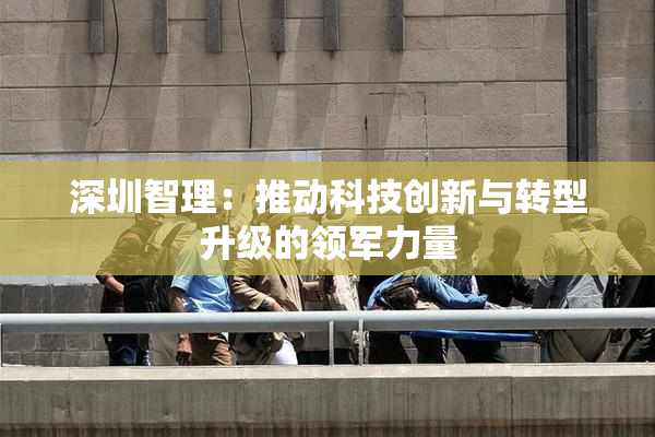 深圳智理：推动科技创新与转型升级的领军力量