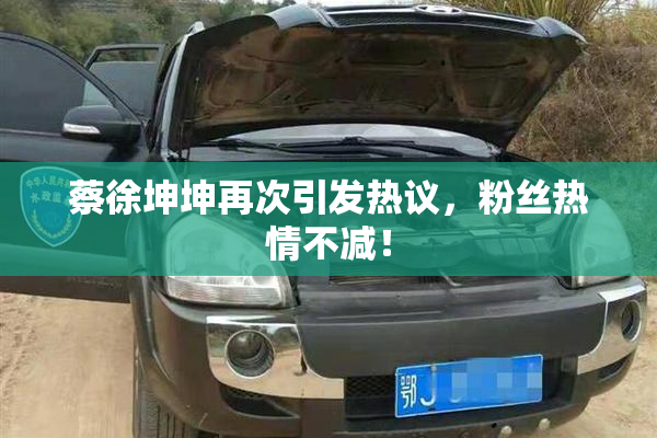 蔡徐坤坤再次引发热议，粉丝热情不减！