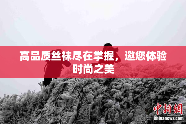 高品质丝袜尽在掌握，邀您体验时尚之美