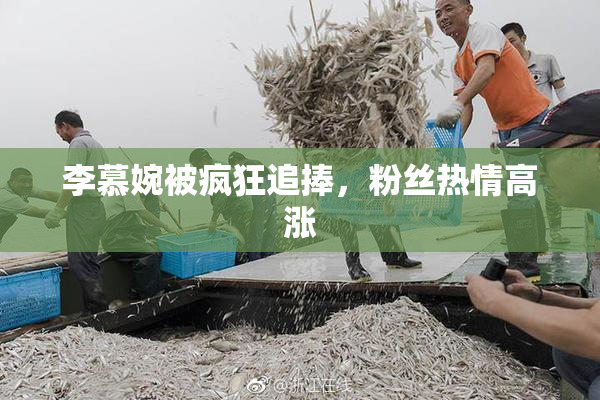 李慕婉被疯狂追捧，粉丝热情高涨