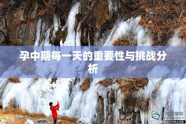 孕中期每一天的重要性与挑战分析