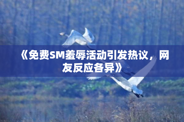 《免费SM羞辱活动引发热议，网友反应各异》