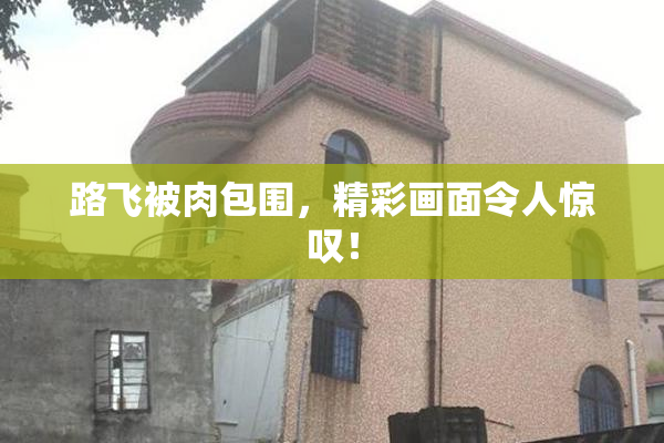 路飞被肉包围，精彩画面令人惊叹！