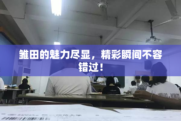 雏田的魅力尽显，精彩瞬间不容错过！