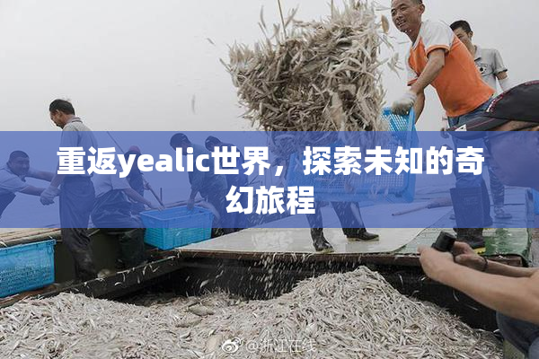 重返yealic世界，探索未知的奇幻旅程