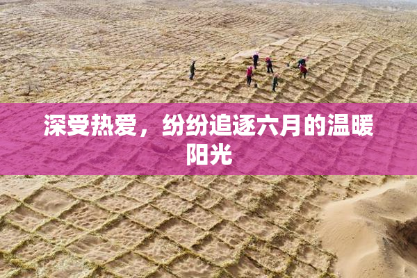 深受热爱，纷纷追逐六月的温暖阳光