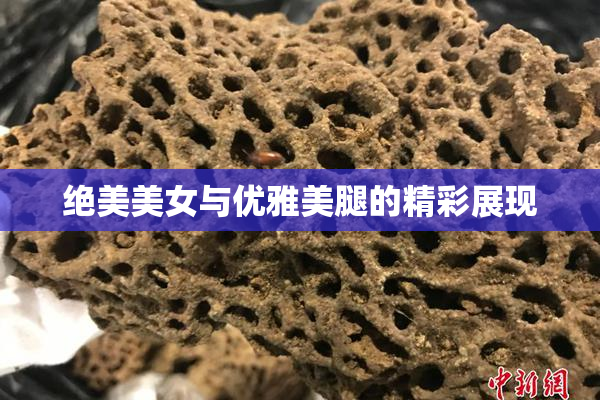 绝美美女与优雅美腿的精彩展现