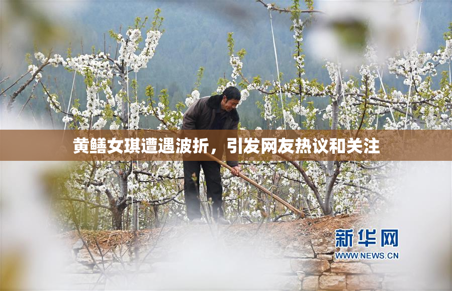 黄鳝女琪遭遇波折，引发网友热议和关注