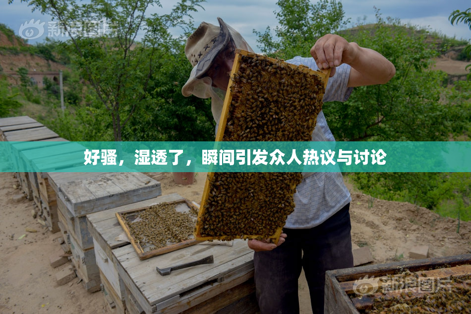 好骚，湿透了，瞬间引发众人热议与讨论
